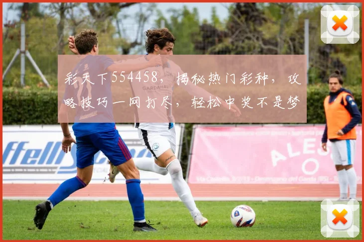 彩天下554458，揭秘热门彩种，攻略技巧一网打尽，轻松中奖不是梦