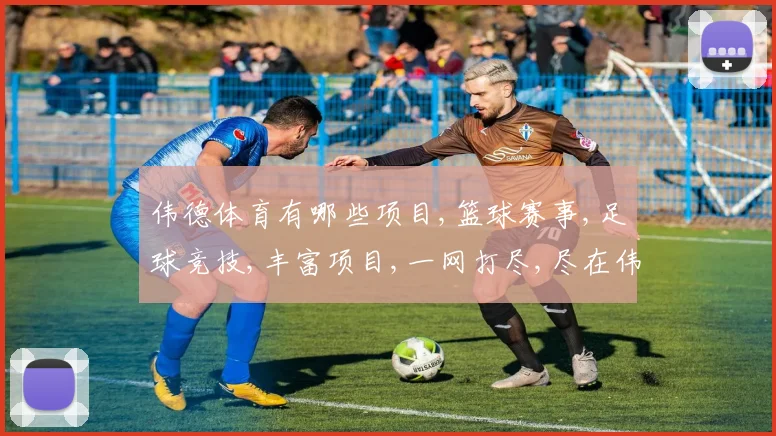 伟德体育有哪些项目,篮球赛事,足球竞技,丰富项目,一网打尽,尽在伟德体育,体验无限精彩。